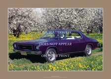 Holden HQ Monaro GTS A2 Art Print – 1971 Two-door model – 59 x 42 cm Poster
