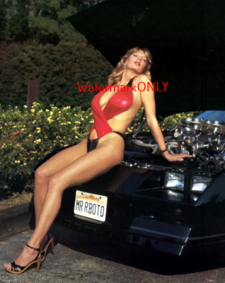 SUPER ULTRA HOT ''LEGGY & BUSTY'' Chevy Camaro Car Babe ''Pin-Up'' PHOTO! #(29b)