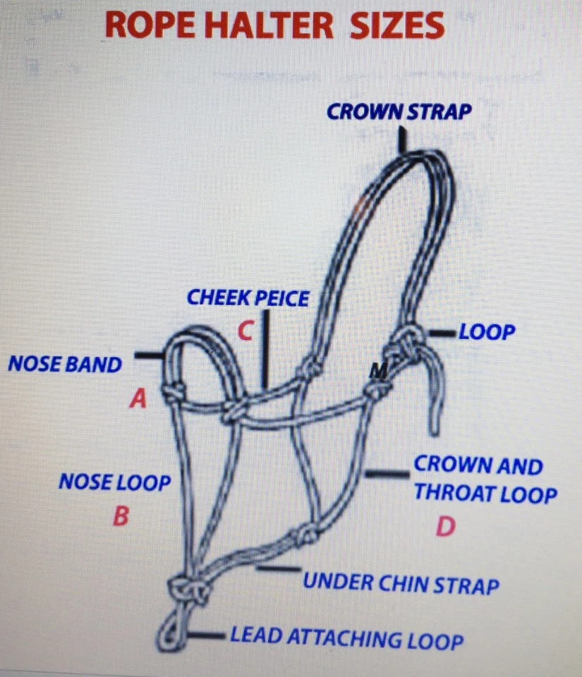 SOPORTES CUERDA CABALLO A1, CONSTRUCCIÓN REFORZADA SUAVE Y FUERTE Foto 4 de 4