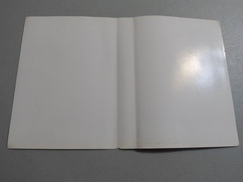 Shadow of the Beast solo manual e ilustraciones, ¡SIN JUEGO/ESTUCHE! SEGA Genisis original - Imagen 4 de 12