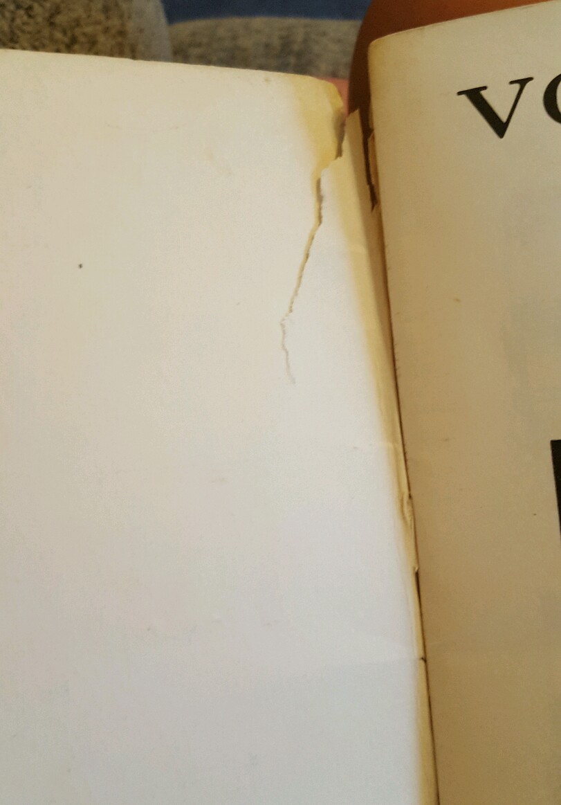 Picture 3 of 4