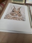 Bild 7 von 12