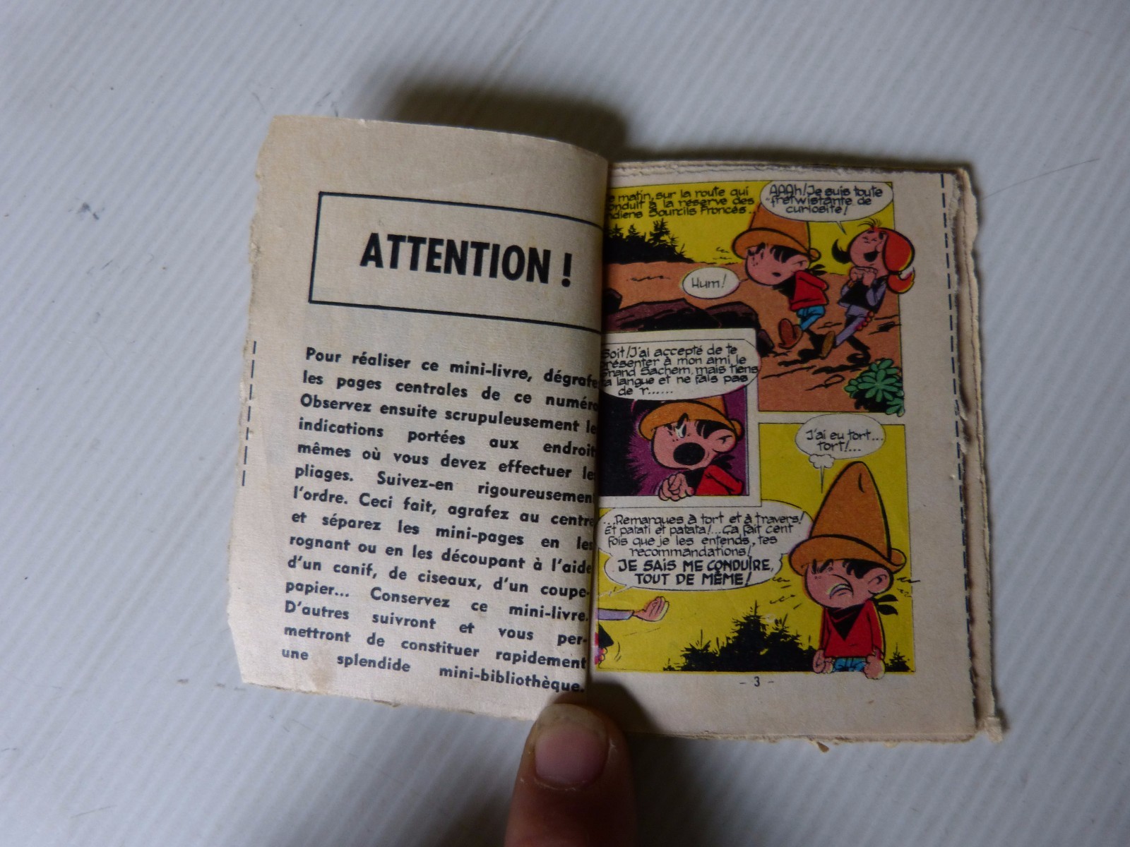 Imagen 3 de 3