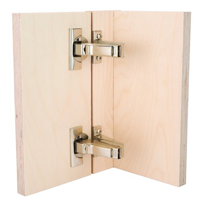 Blumotion Inset Face Frame Hinges with Screws Hinge Covers and Mounting Plates
