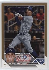 2023 Topps Series 2 Gold 491/2023 Rafael Ortega #607 11gw