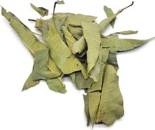 Organic Mango Leaves Dried Herb - Powerful Herb used to Remove Negative Energy -
