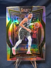 2024-25 Panini Select - Concourse Giannis Antetokounmpo #43 Silver Prizm