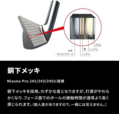 Mizuno Golf Club Mizuno Pro 245 GW N.S.Pro Modus 3 Tour 105 Steal