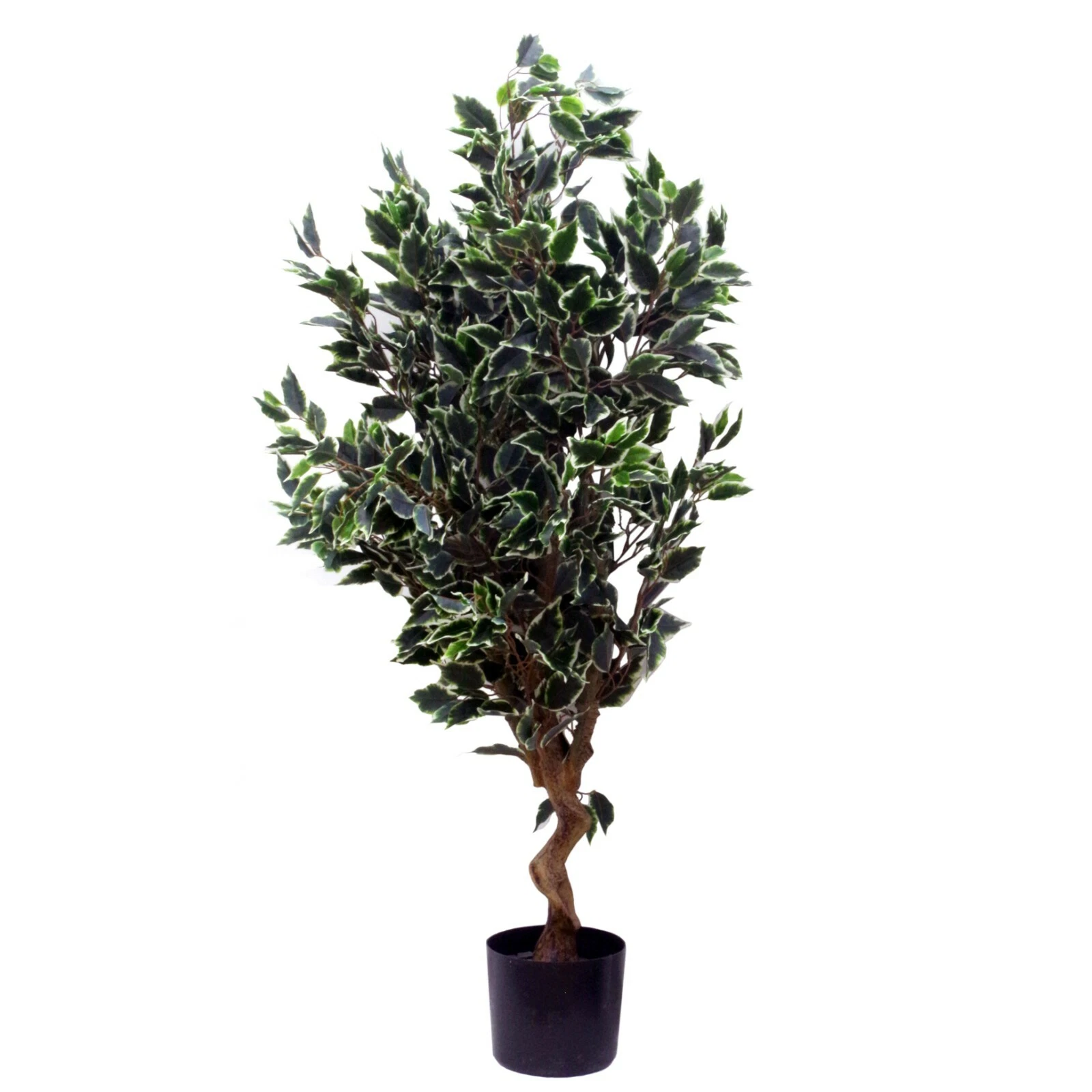110cm Ficus Green - 7371
