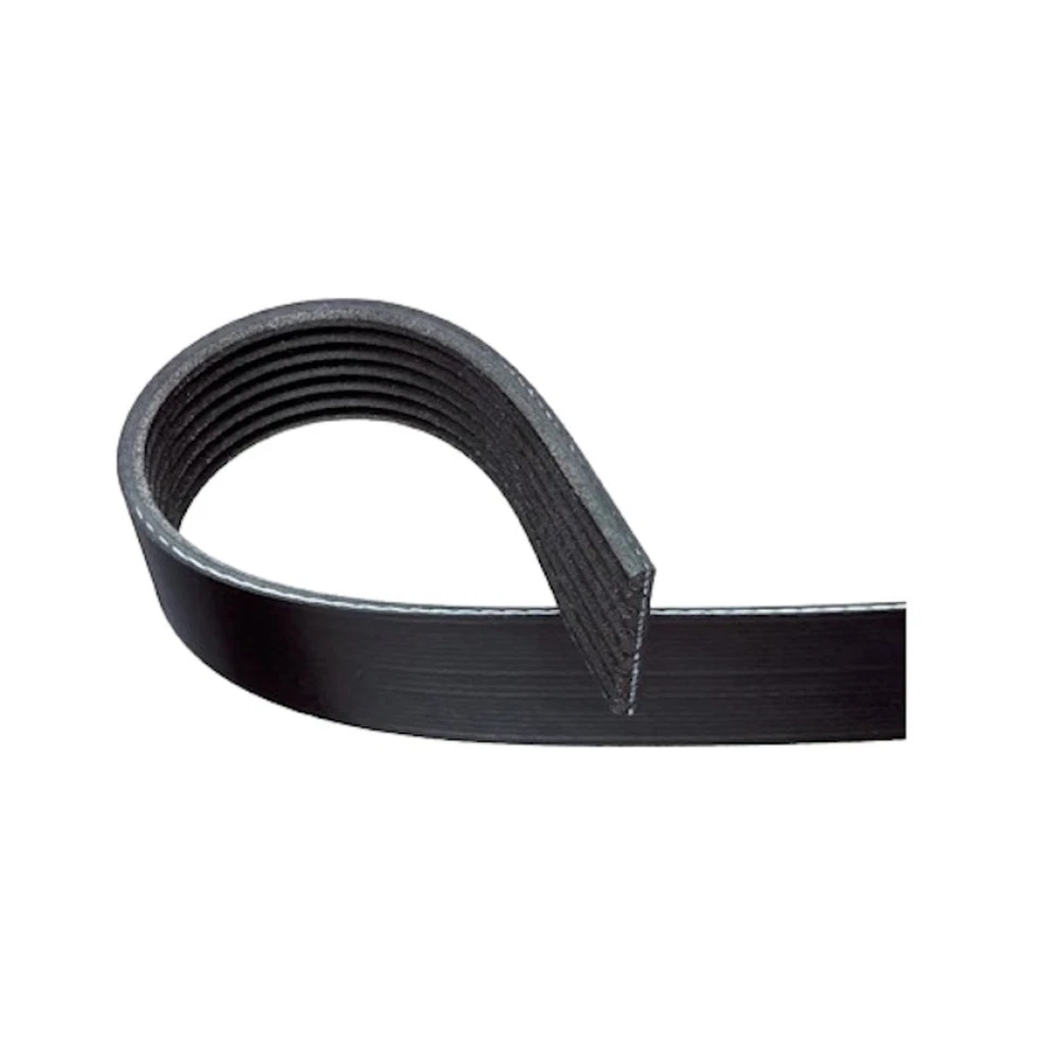 Cinturón Serpentine ACDelco genuino para Toyota Sienna 2011-2017 | Negro | 7 costillas Foto 2 de 4