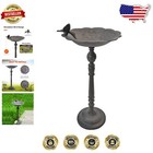Elegant Freestanding Bird Bath 22” — Durable Cast Iron for Gardens & Patios