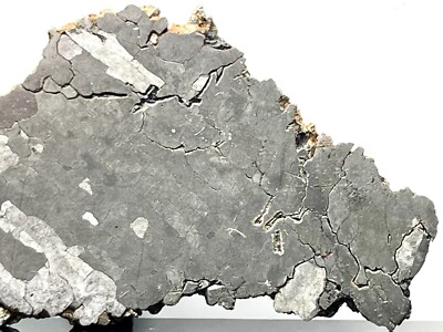 NWA 13855 (93.35g) Iron Meteorite, Full Slice Etched & Stabilized