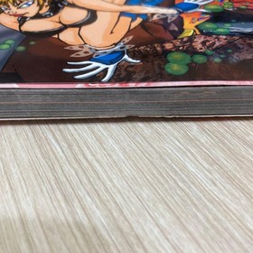 Fighting Vipers Biting The Vipers 2 Guide Sega Saturn 1996