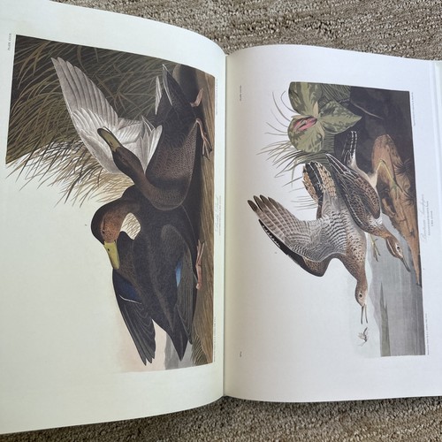 The Birds of America By John James Audubon Random House 1993 DJ Used HC BOOK - Picture 8 of 12
