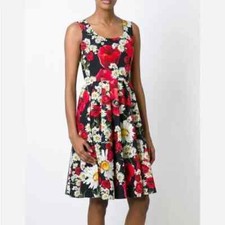 Nwt dolce&gabbana poppy daisy print dress