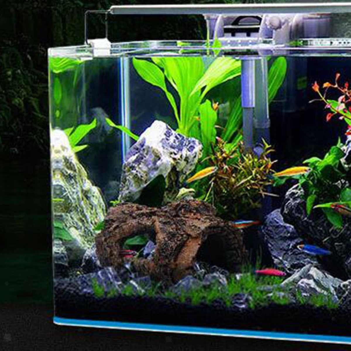 Lizard tank cheap decorations