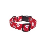 Wet Nose Designs Darling Daisy Dog Collar on Red Daisies Flowers Floral