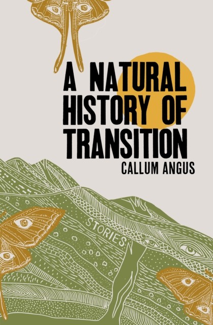 A Natural History of Transition Stories by Callum Angus (Paperback Book) - Image 5