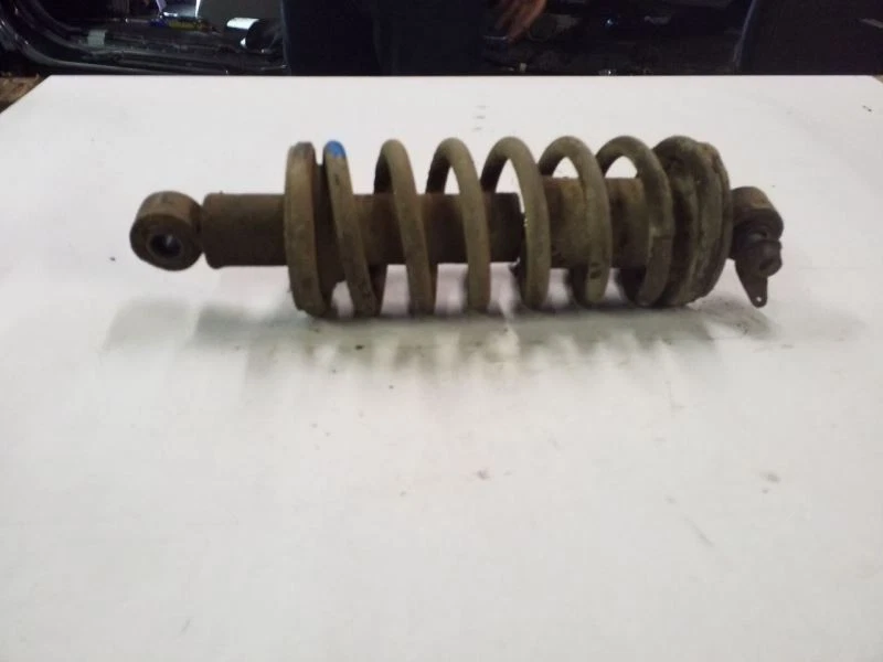 Rear Coil Spring Strut Assembly Fits 80 81 82 83 84 85 86 87 Jaguar XJ6 - Image 2 of 4