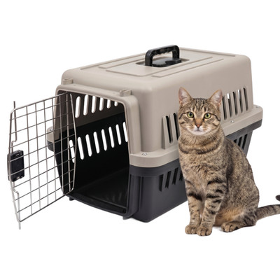 IvoQ Reisekorb Katze M   Transportbox für Katzen und kleine Hunde   Inklusive Bo