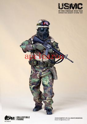 DAMTOYS 93010 Peration Desert Storm 1/6 Action Figure Model