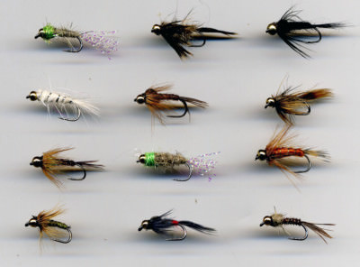 Trout Flies: BARBLESS Gold Head Nymphs x 12 size assorted 10's & 12s (code 426) | eBay Trout Flies: BARBLESS Gold Head Nymphs x 12 size assorted 10's & 12s (code 426) | eBay