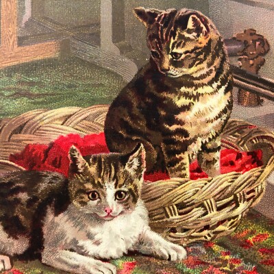 Antique Victorian Trade Card Kitty Cat Kittens Fireplace Wicker Basket Trading 