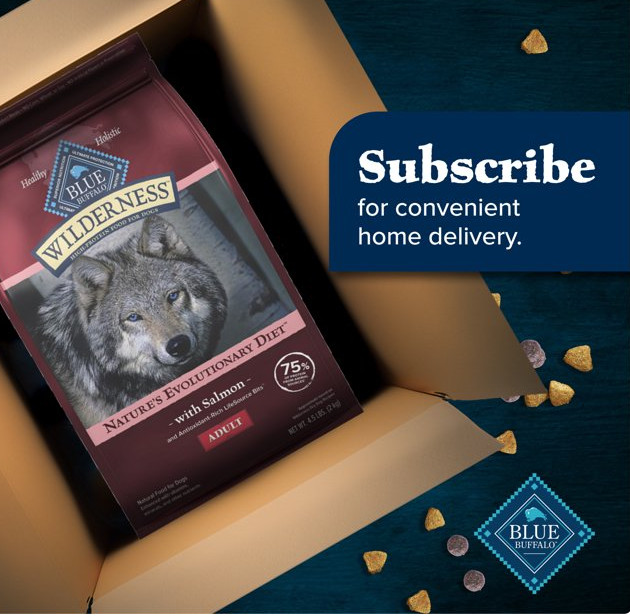 Blue Buffalo Wilderness Natural High-Protein Dry Food, Salmon Recipe, 28-lb
