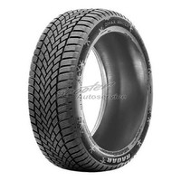 1X 205/55 R16 94V Radar Dimax Winter 3PMSF XL Winterreifen Id92376