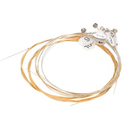 10 Pcs Gitarrensaiten Stahl Strapazierfähige Leiersaiten Saitenmusikinstrumente
