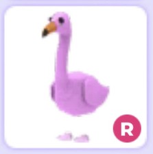 Ride Flamingo    Cheap    Adopt Me Pet