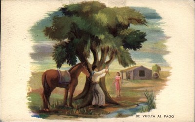 De Vuelta Al Pago Buenos Aires Argentina vintage postcard Air Mail y188