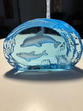 Beautiful Aqua Blue Dolphin And Waves Paperweight