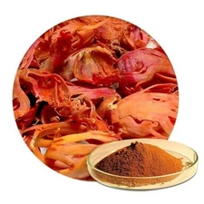 Eva Impex Javitri Powder - Premium Mace Blades