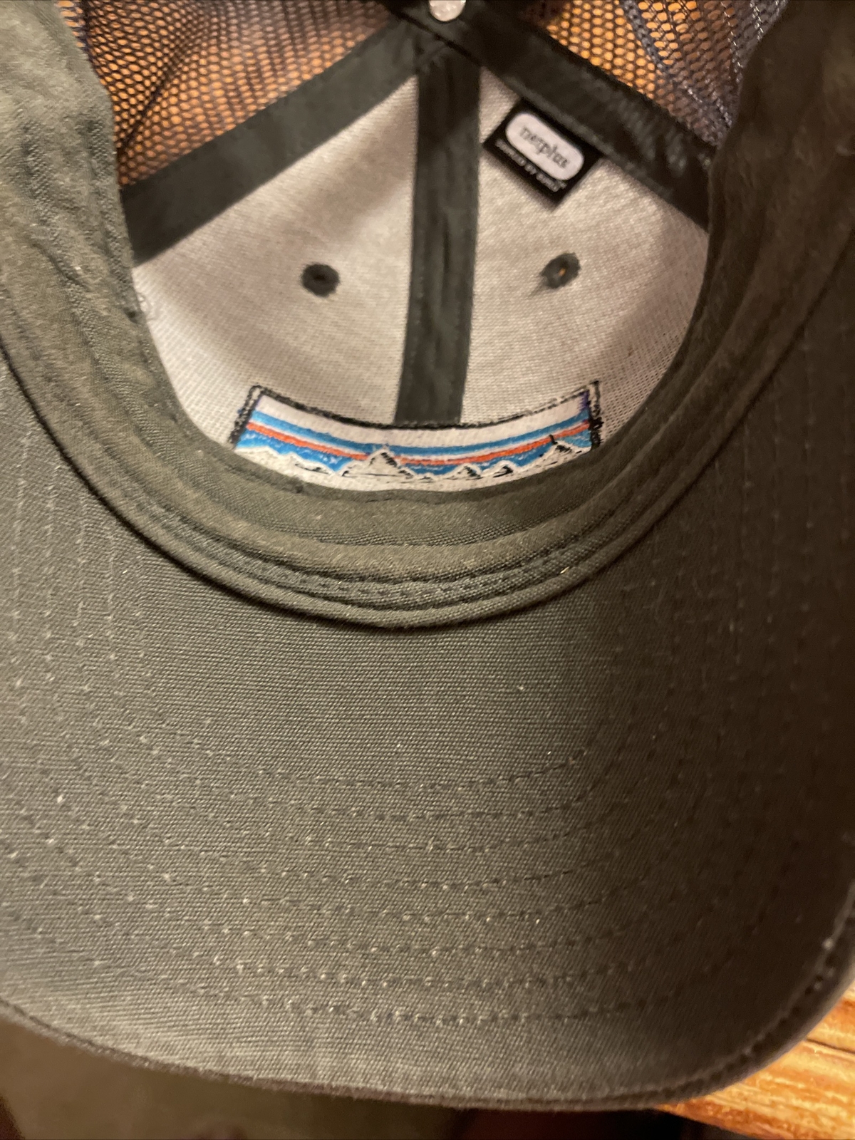 Patagonia trucker hat