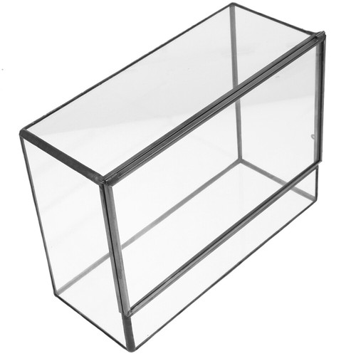 Glass Plant Terrarium Succulent Air Planter Clear Glass Container DIY