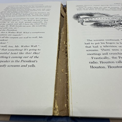 Charlie and the Chocolate Factory & Charlie and the Great Glass Elevator Books - Picture 15 of 19