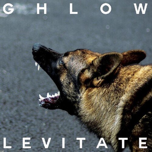 Levitate by Ghlow 2024 Electronic Punk Black Vinyl Ltd Ed of 200 UNSEALED - NEW - Imagen 1 de 1