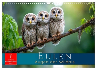 Eulen - Augen der Wildnis (Wandkalender 2026 DIN A3 quer), CALVENDO Monatskalend