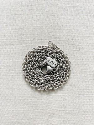 Der große Frosch 60 cm Spur Kette Halskette