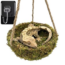 Humid Reptile Hide Leopard Gecko Tank Accessories Coconut Hide for Crested Gecko