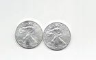 2021 Silver Eagles Type 1- 2 one ounce coins