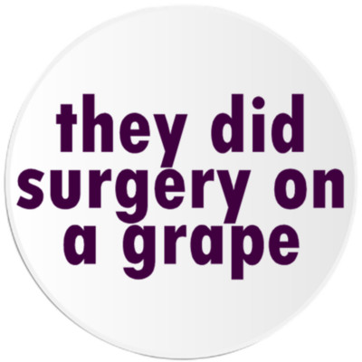 They Did Surgery On A Grape - 10 Pack Circle Stickers 3 Inch - Meme Humor