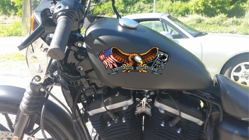 Calcomanías de tanque American Flag Bald Eagle - All Gave Some Dave All Motorcycle - Imagen 2 de 2