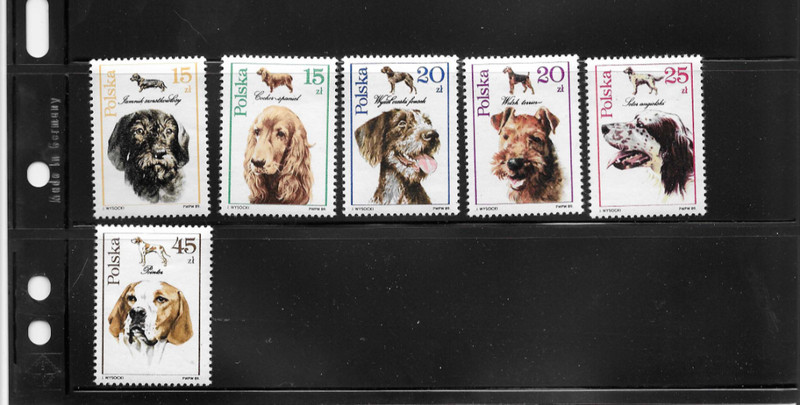 Postage Stamps Poland Scott Number 2900-2905 MNH (Lot N5)
