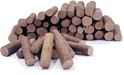Craft Sticks, Wood Sticks Crafting Twigs Crafts Log Toy DIY Vase Fillers Pumpkin