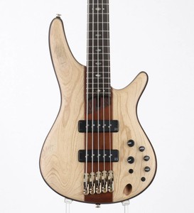 Ibanez Sr1305 | eBay