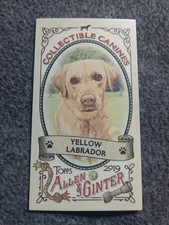 2019 TOPPS  ALLEN & GINTER COLLECTIBLE CANINES MINI INSERT CARD#CC-15