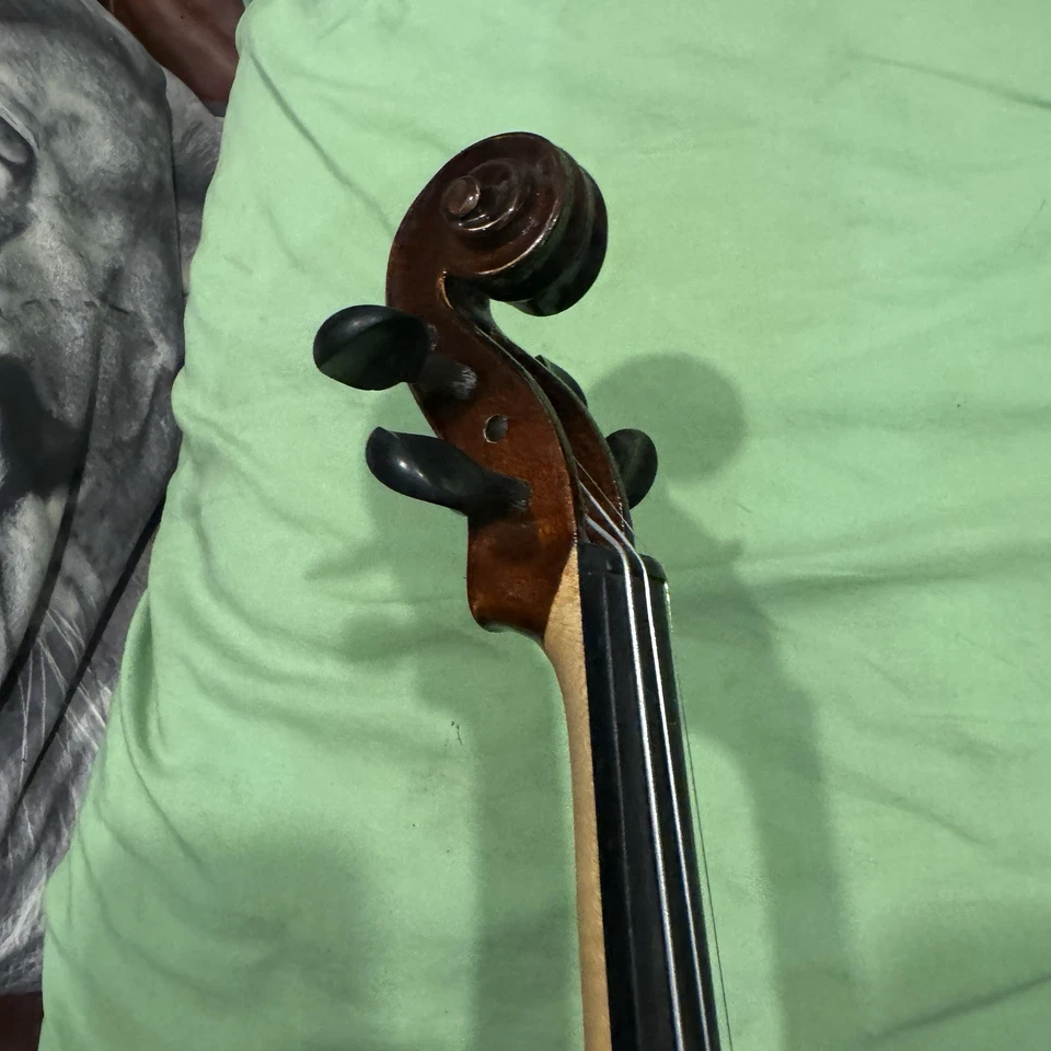 Violino Gliga Genial escala 1/4 - Imagem 4 de 4