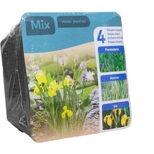 Waterplants Trio Mix: Acorus, Yellow Iris & Pontederia for Alluring Ponds